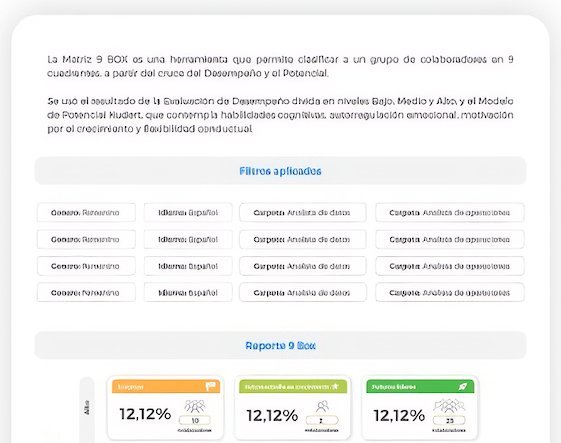 Matriz 9 Box